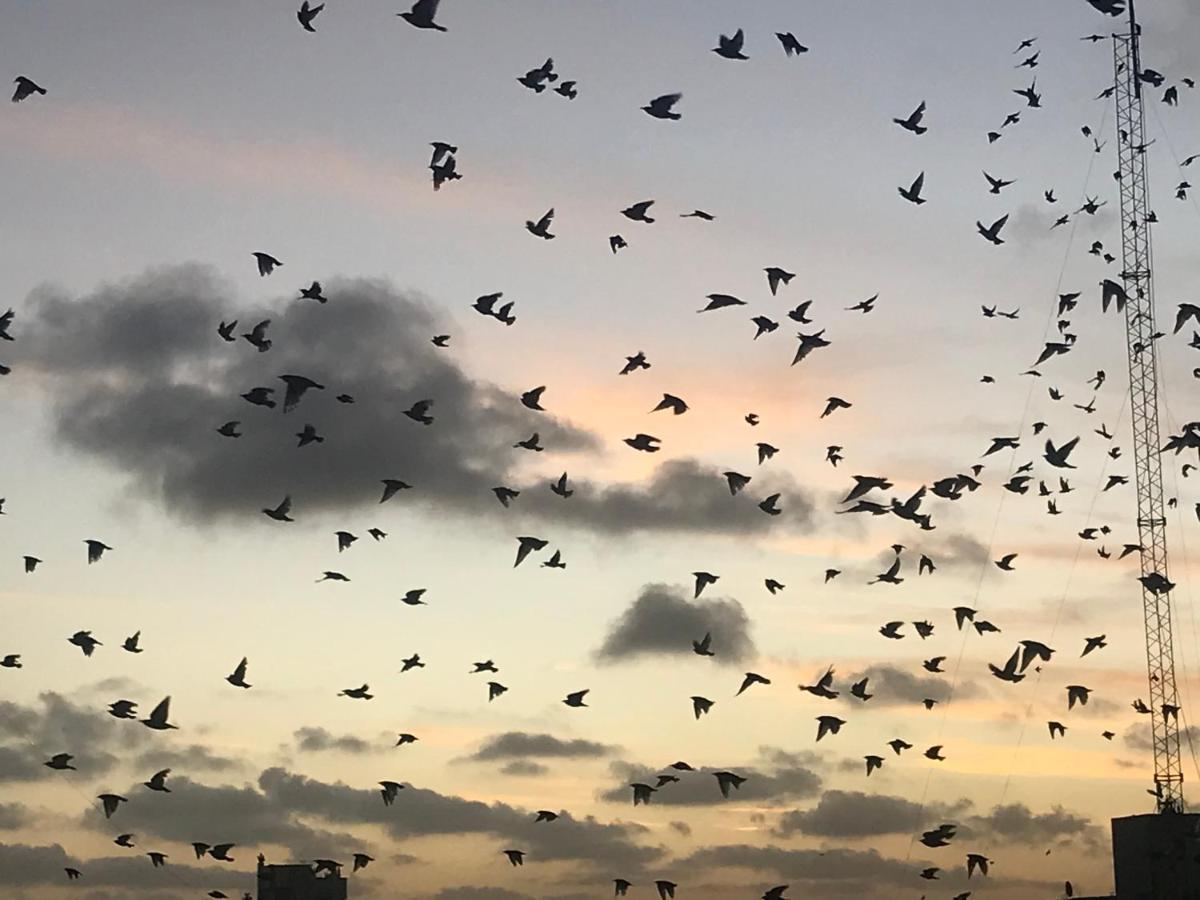 Hermosos Atardeceres … Apartamento *